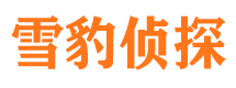 泸溪侦探公司